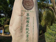 -合肥滨湖国家森林公园