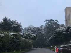 -四川农业大学(雅安校区)