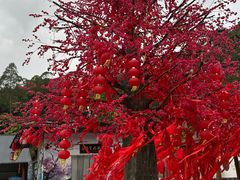 -东莞观音山旅游风景区