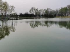 -东郊湿地公园