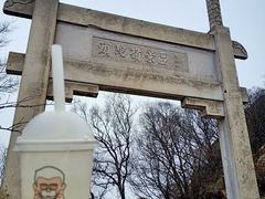 -紫金山山顶公园