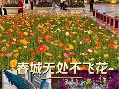 -南屏步行街
