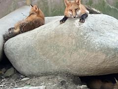 -宁波野生动物园