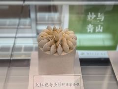 -SOHO尚都