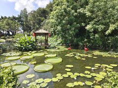 -广州莲花山旅游区