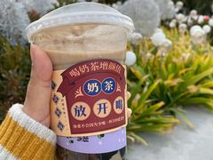 双拼布蕾波波茶-九秋茶铺(三里屯店)