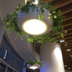 -悦诗风吟innisfree
