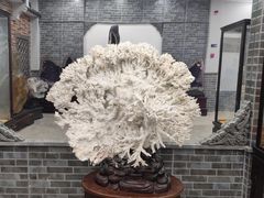 -游龙石文化科普馆