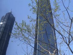 -上海环球金融中心云端足球盛典