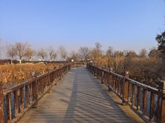 -云龙湖旅游景区