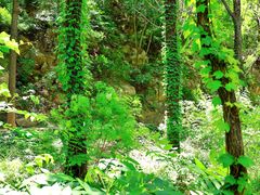 -碓臼峪自然风景区