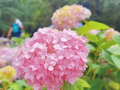 -塔子山公园