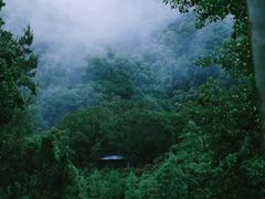 -世间香境·七溪地