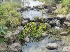 -柳鹭田园区