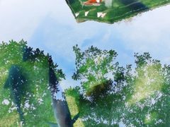 -杭州植物园
