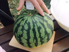 -南湖湿地公园