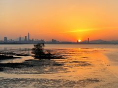 -深圳湾公园(南山区)