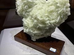 -湖南省地质博物馆