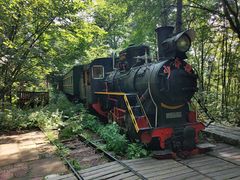 -五营红松林海景区