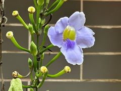 -水乡人家私房菜(逢简店)