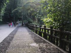 IMG_2519-鼎湖山风景区