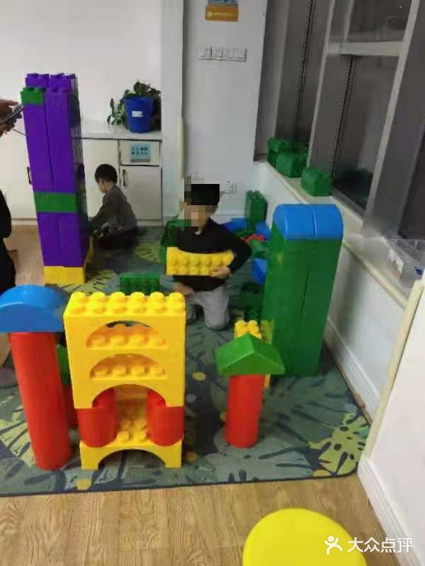 金色雨林学习力培优(专注力提升)图片