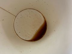 -在咖啡INCOFFEE(ICC升龙环球中心店)