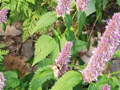 -白草畔自然风景区