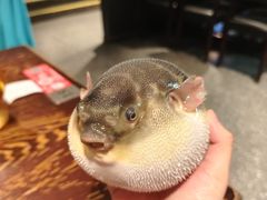 -永安鱼庄·镇江菜(东吴路店)