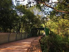 -西湖风景区-江洋畈生态公园