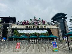 -贵州百里杜鹃风景名胜区