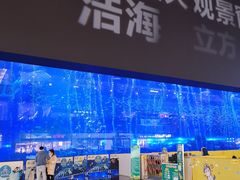 -成都浩海立方海洋公园