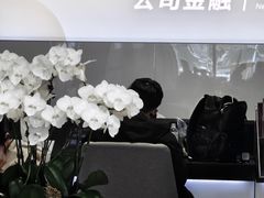 -招商银行(上海张杨支行)
