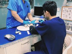 -瑞派申生动物医院·24H夜诊·国际动物医疗中心·骨外科(吴中路店)