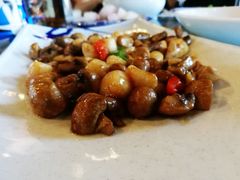 -祝家花園(伯渎港店)