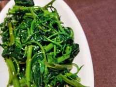 清炒季节时蔬-樽宴酒楼·地道川菜·品质宴请