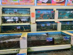 水产区-旺富东海大酒楼(海鲜街店)