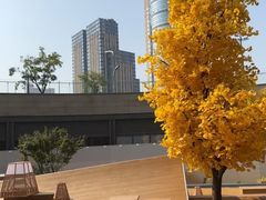 -石家庄万象城