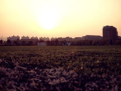 操场-复旦大学(张江校区)