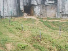 -无锡动物园·太湖欢乐园