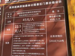 -西双版纳原始森林公园