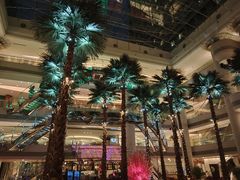 -威斯汀舞台餐厅