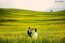 -AOROA·奥洛拉婚纱摄影·旅拍·礼服