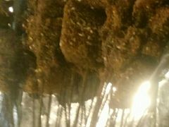 烤腰子-郑享吃烧烤烩面(红专路店)