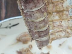 -东江港海鲜城(广雅花园别墅区店)