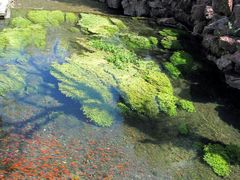 -水磨沟公园