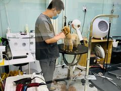 -中农大我爱我爱动物医院·核磁CT·猫病·24小时夜诊中心(石佛营店)