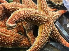 -大锅强·蒸海鲜青岛菜(吾悦广场店)