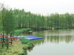 -上海长兴岛郊野公园
