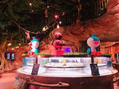 -杭州开元森泊度假乐园